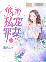 帝少的私宠罪妻