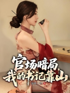 黑色档案，官场沉浮二十年